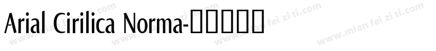 Arial Cirilica Norma字体转换